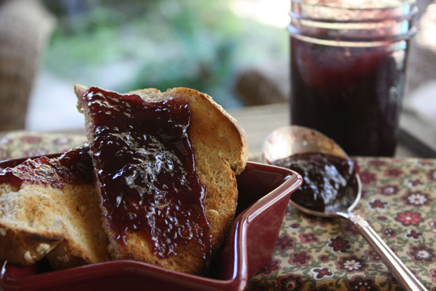 Whole Grape Jam on Toast